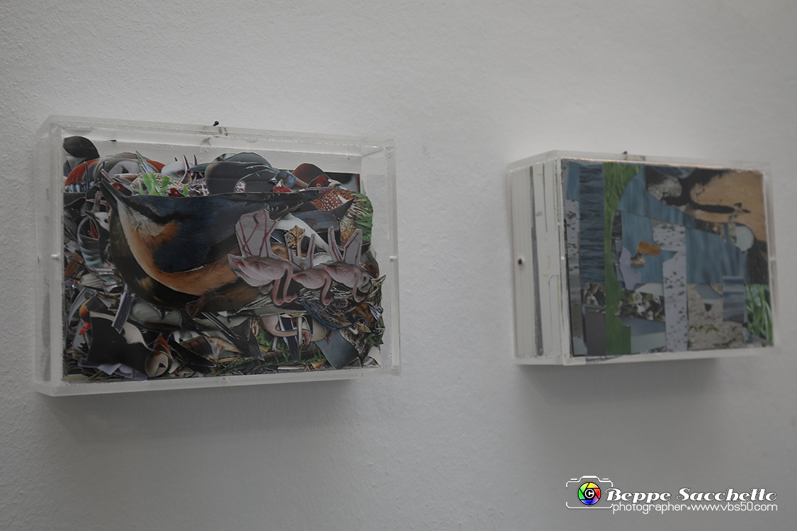 VBS_4073 - Paratissima 2021 - 17.ma Edizione.jpg